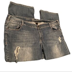 Lane Bryant Jeans Size 28 Petite